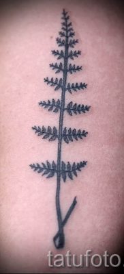 Hűvös páfránytetoválás a fotón - egy cikk a tetoválás jelentéséről 49