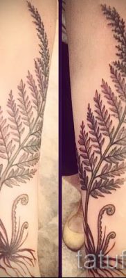 Hűvös páfrány tetoválás a fotón - egy cikk a tetoválás 46 jelentéséről