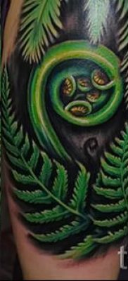 Hűvös páfrány tetoválás a fotón - egy cikk a tetoválás 45 jelentéséről