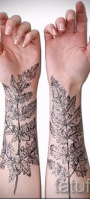 Hűvös páfrány tetoválás a fotón - egy cikk a tetoválás 43 jelentéséről