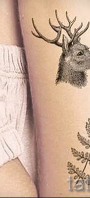 Hűvös páfrány tetoválás a fotón - egy cikk a tetoválás 42 jelentéséről