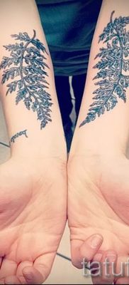 Hűvös páfrány tetoválás a fotón - egy cikk a tetoválás 41 jelentéséről