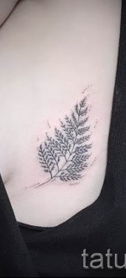 Hűvös páfrány tetoválás a fotón - egy cikk a tetoválás 38 jelentéséről