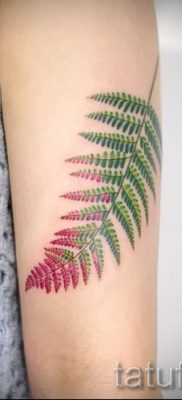 Hűvös páfrány tetoválás a fotón - egy cikk a tetoválás 36 jelentéséről