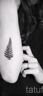 Hűvös páfrány tetoválás a fotón - egy cikk a tetoválás 35 jelentéséről