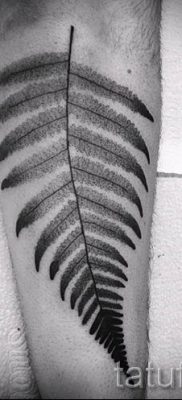 Hűvös páfránytetoválás a fotón - egy cikk a tetoválás jelentéséről 34