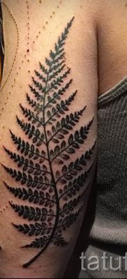 Hűvös páfrány tetoválás a fotón - egy cikk a tetoválás jelentéséről 33