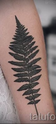 Hűvös páfránytetoválás a fotón - egy cikk a tetoválás jelentéséről 31