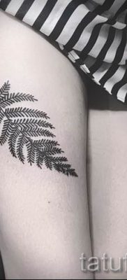 Hűvös páfránytetoválás a fotón - egy cikk a tetoválás jelentéséről 28