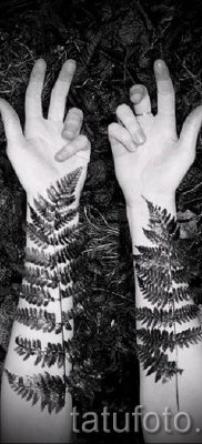 Hűvös páfránytetoválás a fotón - egy cikk a tetoválás jelentéséről 27