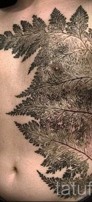 Hűvös páfránytetoválás a fotón - egy cikk a tetoválás jelentéséről 26