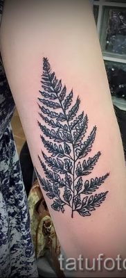 Hűvös páfránytetoválás a fotón - egy cikk a tetoválás jelentéséről 25