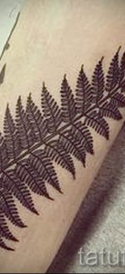 Hűvös páfrány tetoválás a fotón - egy cikk a tetoválás 20 jelentéséről