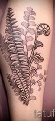 Hűvös páfránytetoválás a fotón - egy cikk a tetoválás jelentéséről 10