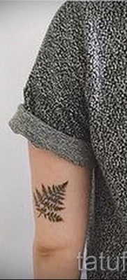 Hűvös páfrány tetoválás a fotón - egy cikk a tetoválás jelentéséről 5