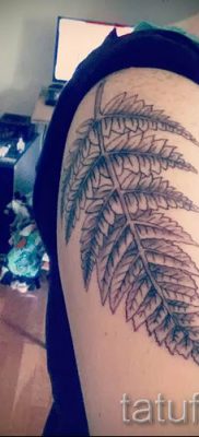 Hűvös páfrány tetoválás a fotón - egy cikk a tetoválás 2 jelentéséről