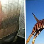 fotó a sikertelen tetoválásról, partak, 2018. 08. 05. №018 - Sikertelen tetoválás -