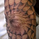 pókháló tetoválás a könyökön 2