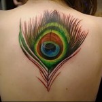 nagy pávatoll tetoválás a lány háta közepén