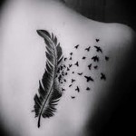 Toll és madarak egy lapockás nőnek - tetoválás toll fotó