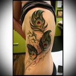 három pávatoll tetováláson a törzsön