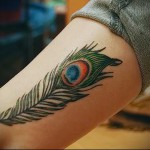 pávatoll tetoválás