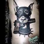 Doberman tetoválás pisztollyal - fotó a kész tetoválásról 01092016 2083 tatufoto.ru