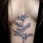mellcsont tetoválás fotó - példák a tetoválásokra az 16012016 fotókon 34