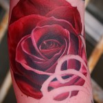 vörös rózsa tetoválás - fotó opció 15122015 -ből 4. szám