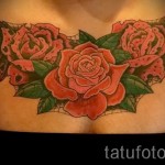 rózsa tetoválás a mellkason - fotó opció 15122015 № 30
