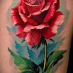 Rózsa tetoválás realizmus - fotó opció 15122015 № 1