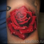 rózsatetoválás realizmus - fotó opció 15122015 № 5