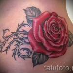 rózsatetoválás tövisekkel - fotóopció 15122015 № 1