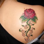rózsás tetoválás a hátulján - fotó opció 15122015 № 5
