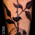 koponyatetoválás rózsákkal - fotóopció 15122015 № 27