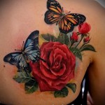 rózsatetoválás a hátlapon - Képopció a 15122015 számról 1