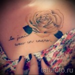 Tetoválások weiße Rose - Fotos Möglichkeit Nummer 15122015 1
