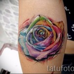 rózsa akvarell tetoválás - fotó opció 15122015 -ből 6. szám