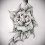 vázlat tetováló rózsáról a csípőjén - hűvös tapéta 1
