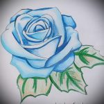 Skizze der Tattoo -blaue Rose - menő Tapete zu sehen 1