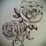 tetoválás rózsák fekete -fehér vázlatok 3