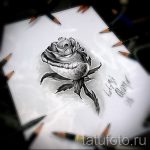 tetoválás rózsák ceruza vázlatok 2