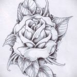 tetoválási vázlatok rózsákról az oldalon - jól néz ki a 4. kép