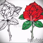 rózsatetoválás vázlat a kezén - jól néz ki 10. kép