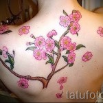 cseresznye tetoválás a hátán - fényképes példa a 12122015 1 számra