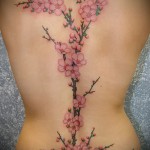 cseresznye tetoválás a hátán - fényképes példa a 12122015 számra 2