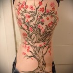 sakura tetoválás az oldalán - fényképes példa a 12122015 számra 2