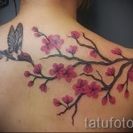 Sakura tetoválás a vállán - Fotó példa a 12122015 számra 1