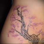 Sakura tetoválás a hasán - Fotó példa a 12122015 számra 2