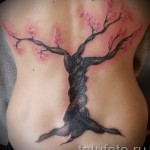 tetoválás cseresznyefa - fényképes példa a 12122015 számra 2